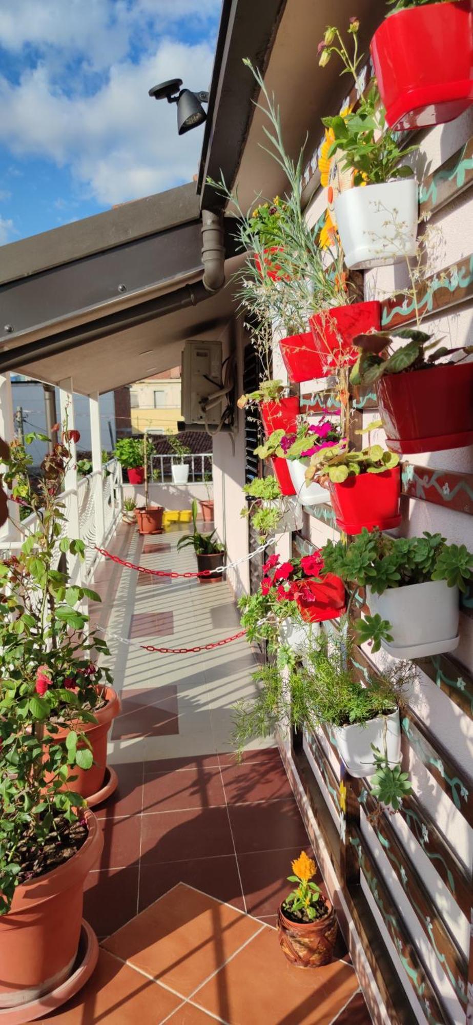 Lille France Apartments Shkoder Bilik gambar